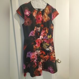 Ted Baker Floral Skater Dress